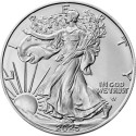 American Eagle (2025)- 1 унция - серебряная инвестиционная монета