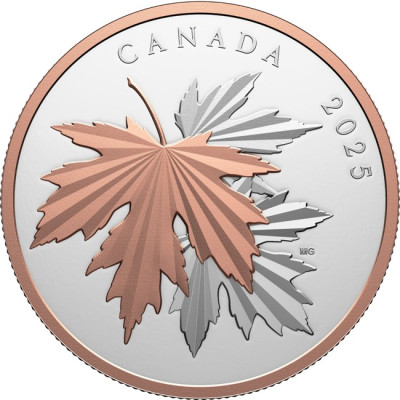Gleaming Maple Leaves - 10 Oz - Silver Collector Coin (delivery 30.6.2025)