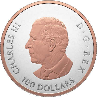 Gleaming Maple Leaves - 10 Oz - Silver Collector Coin (delivery 30.6.2025)