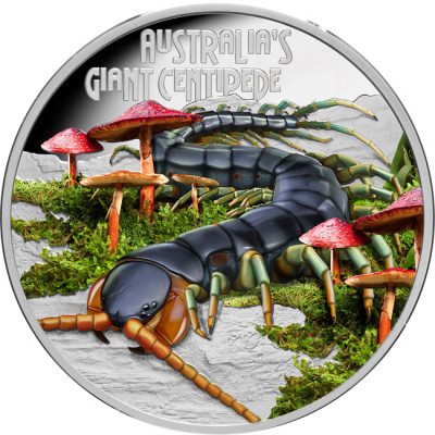 Гигантская сороконожка (2026) - 1 унция серебряной...